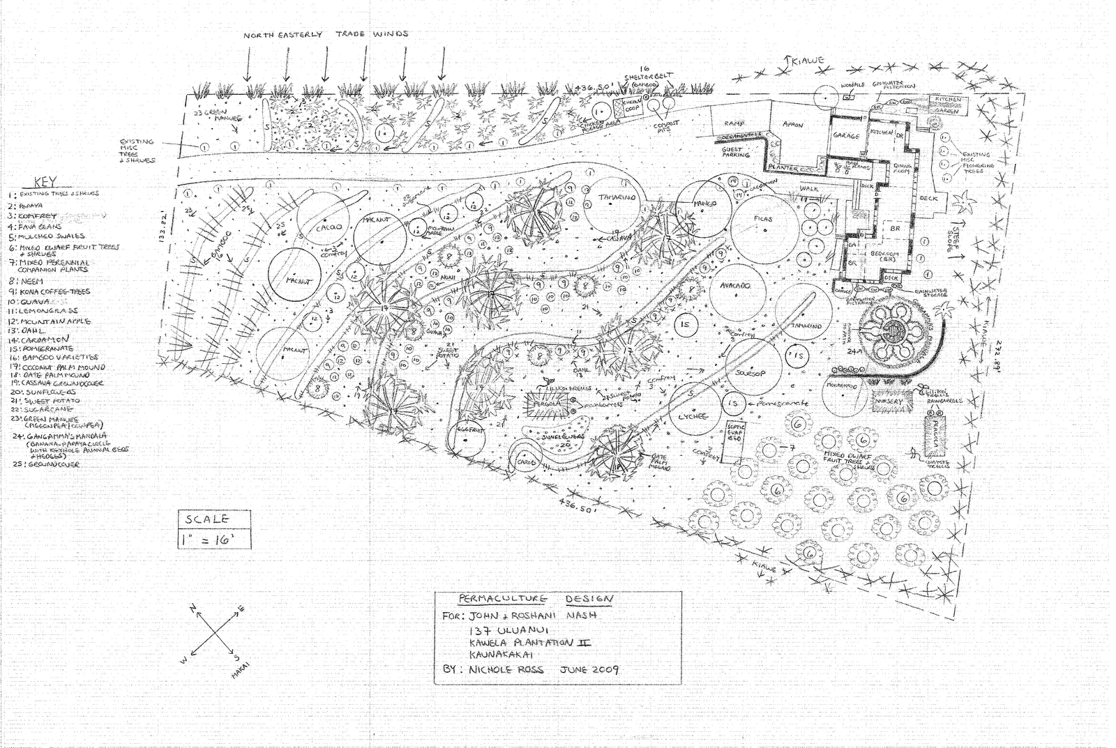 Kawela Initial Design